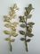 ज़माक रोज़ कॉफ़िन फिटिंग सजावट जिंक मिश्र धातु फूल का आकार 45 सेमी × 13 सेमी सोना / प्राचीन कांस्य
